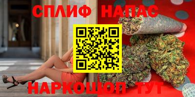 ешки Новодвинск