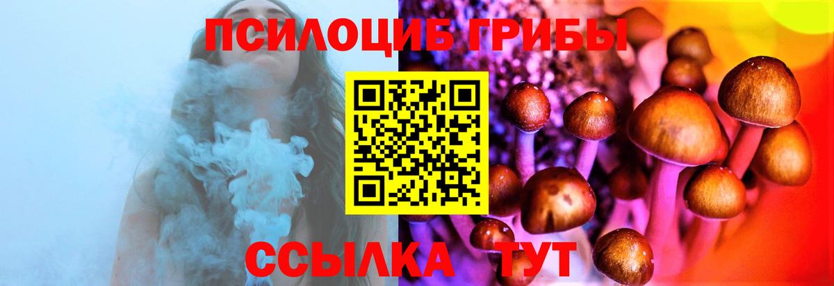 Псилоцибиновые грибы прущие грибы  Псилоцибиновые грибы прущие грибы  Топки  Вход с VPN 